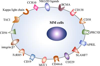 CAR-T cell therapy in multiple myeloma: Current limitations and potential strategies